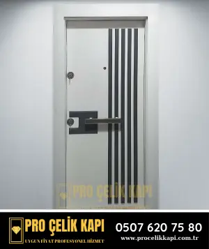 Dilovası Çelik Kapı - Plus 3